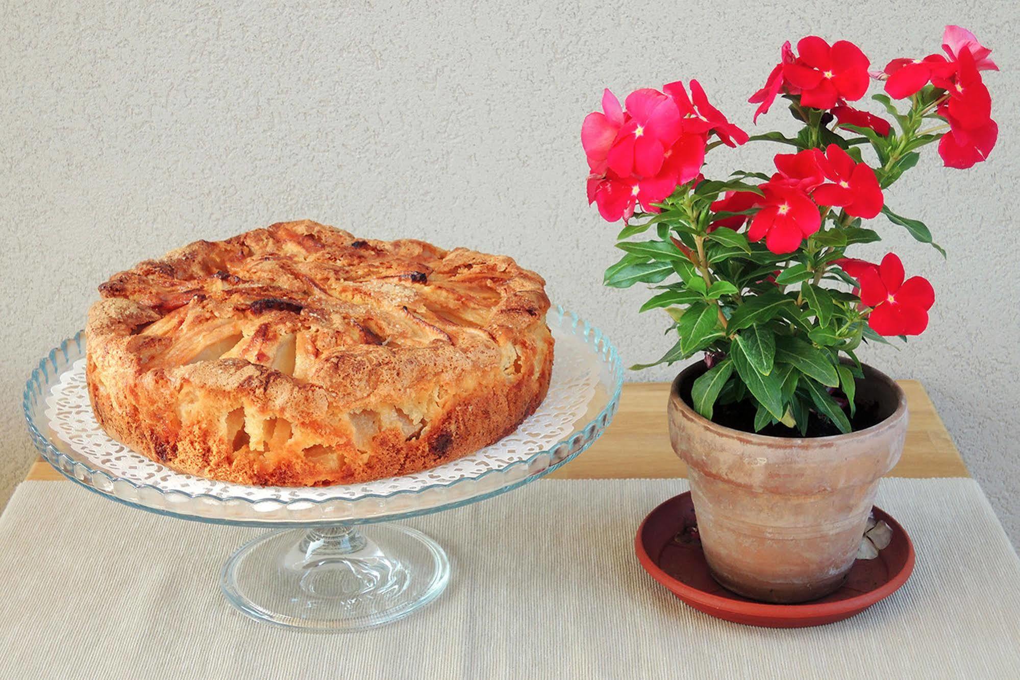 TerraSole Bakery B&B Terrasini Eksteriør bilde